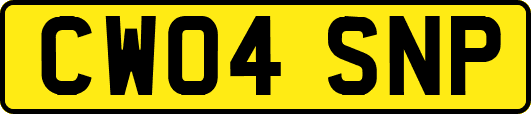 CW04SNP
