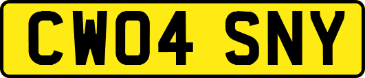 CW04SNY