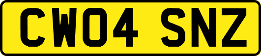 CW04SNZ