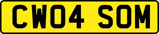 CW04SOM
