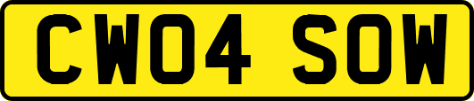 CW04SOW