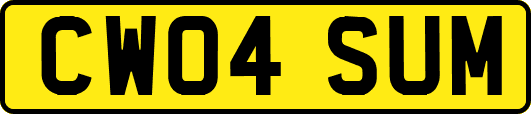 CW04SUM