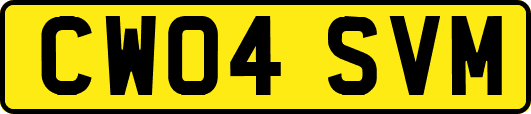 CW04SVM
