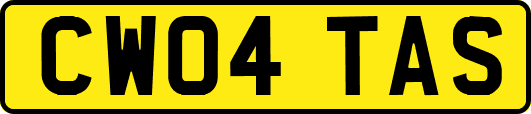 CW04TAS