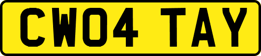 CW04TAY