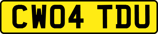 CW04TDU