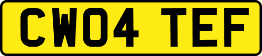 CW04TEF