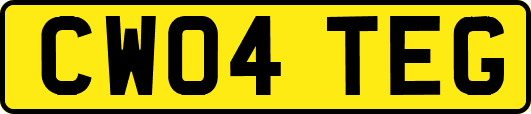 CW04TEG