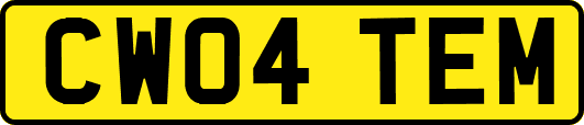 CW04TEM