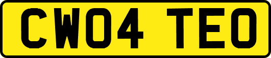 CW04TEO