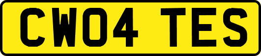 CW04TES