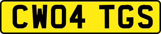 CW04TGS