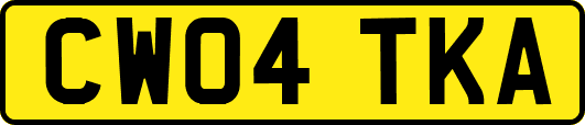 CW04TKA