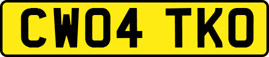 CW04TKO