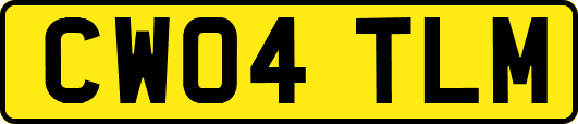 CW04TLM