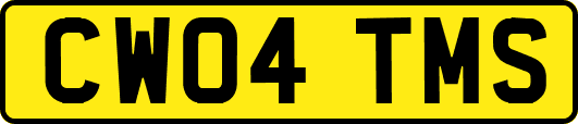 CW04TMS