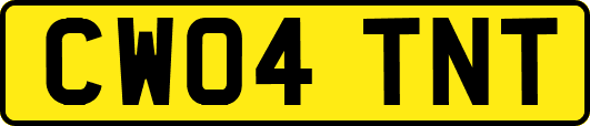 CW04TNT