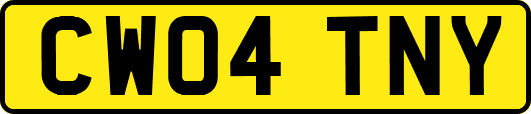 CW04TNY