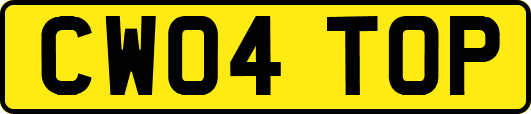 CW04TOP