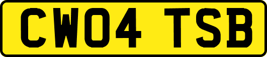 CW04TSB