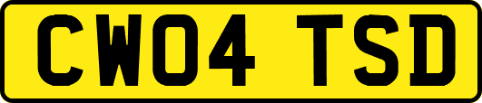 CW04TSD