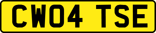 CW04TSE