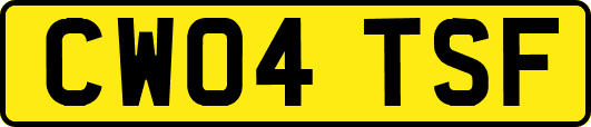 CW04TSF