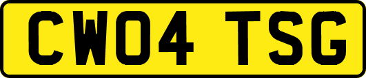 CW04TSG