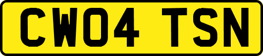 CW04TSN