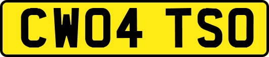 CW04TSO