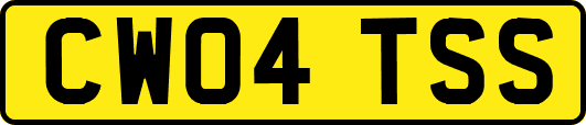 CW04TSS