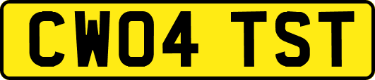 CW04TST