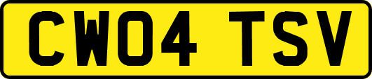 CW04TSV