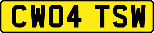 CW04TSW