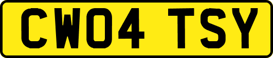 CW04TSY