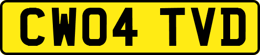 CW04TVD