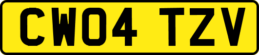 CW04TZV