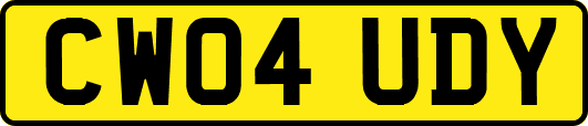 CW04UDY