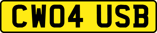 CW04USB