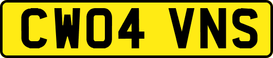 CW04VNS