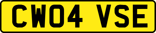 CW04VSE