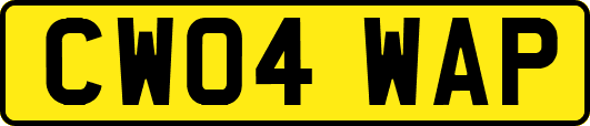 CW04WAP