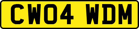 CW04WDM