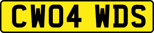 CW04WDS