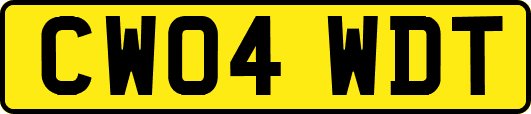 CW04WDT