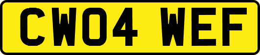 CW04WEF