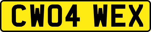 CW04WEX
