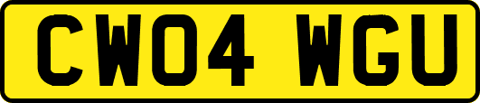 CW04WGU