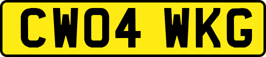 CW04WKG