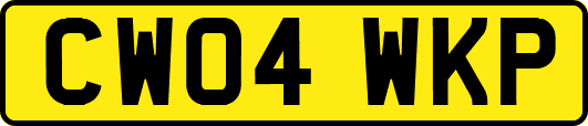 CW04WKP